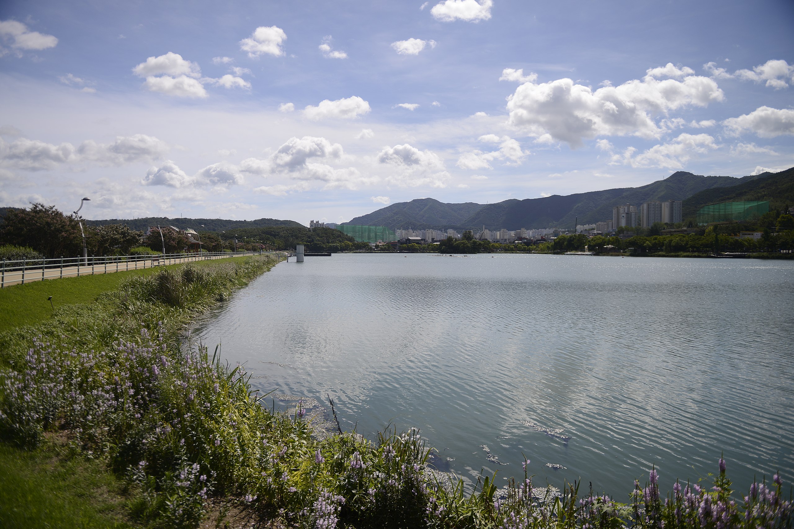 Suseonggu Real Korea realK