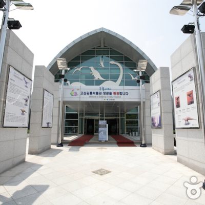 Goseong Dinosaur Museum Goseong Dinosaur Museum