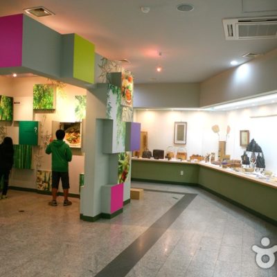 Korea Bamboo Museum