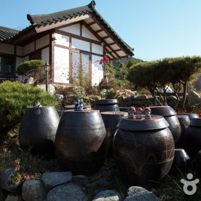 Sane Flower [Korea Quality] / 산에는 꽃이피네 [한국관광 품질인증]