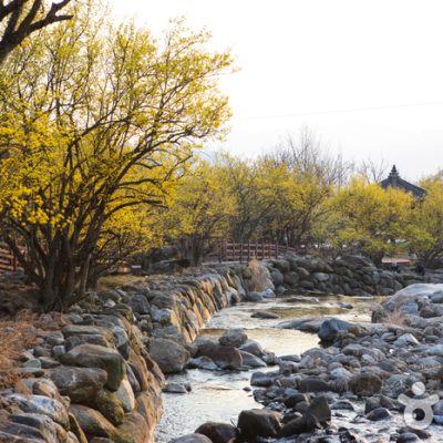 Gurye Sansuyu Village Gurye Sansuyu Village