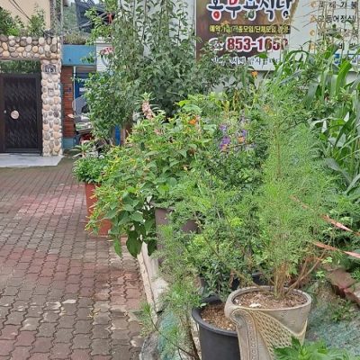 Hongbuyong Hansik Hongbuyong Hansik