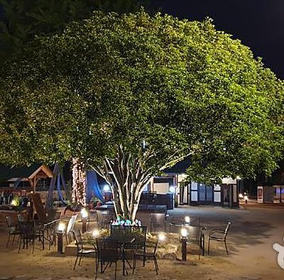 3917 Majung [Korea Quality] / 3917 마중 [한국관광 품질인증/Korea Quality]