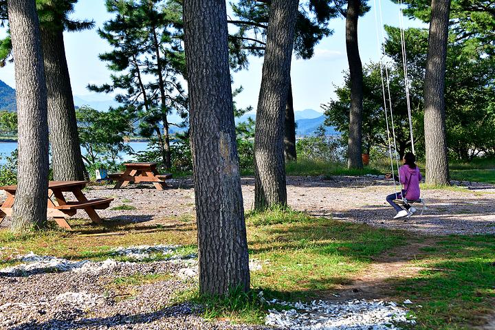 Clam Island Camping Ground