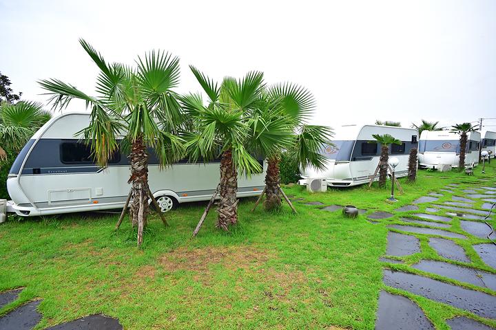 Jeju Platinum Caravan